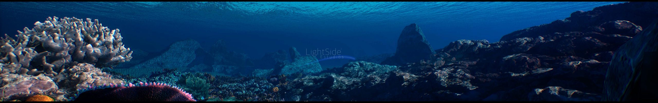 Banner submarino panoramico 8K - arrecife derecho