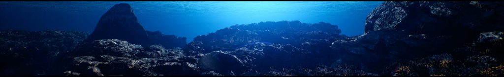 Banner submarino panoramico 8K - arrecife izquierdo
